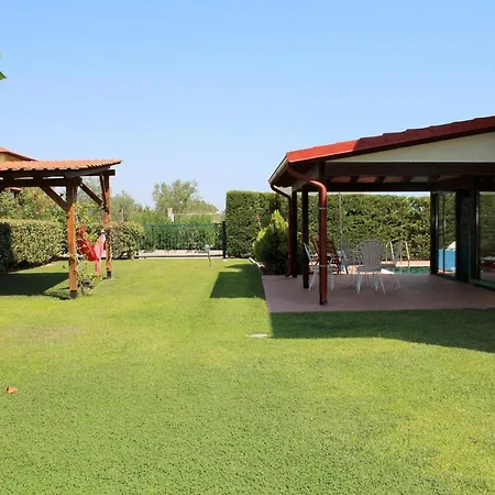Iliana سكوتينا
