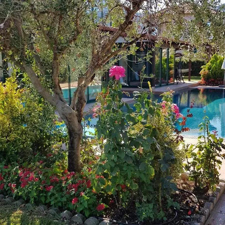 Iliana Holiday home