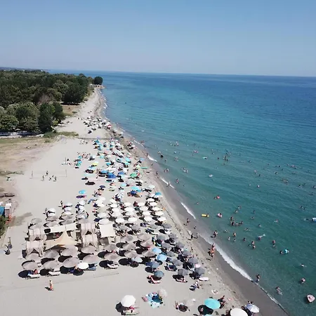 Iliana * Skotina
