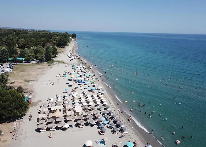 Iliana * 斯科提纳